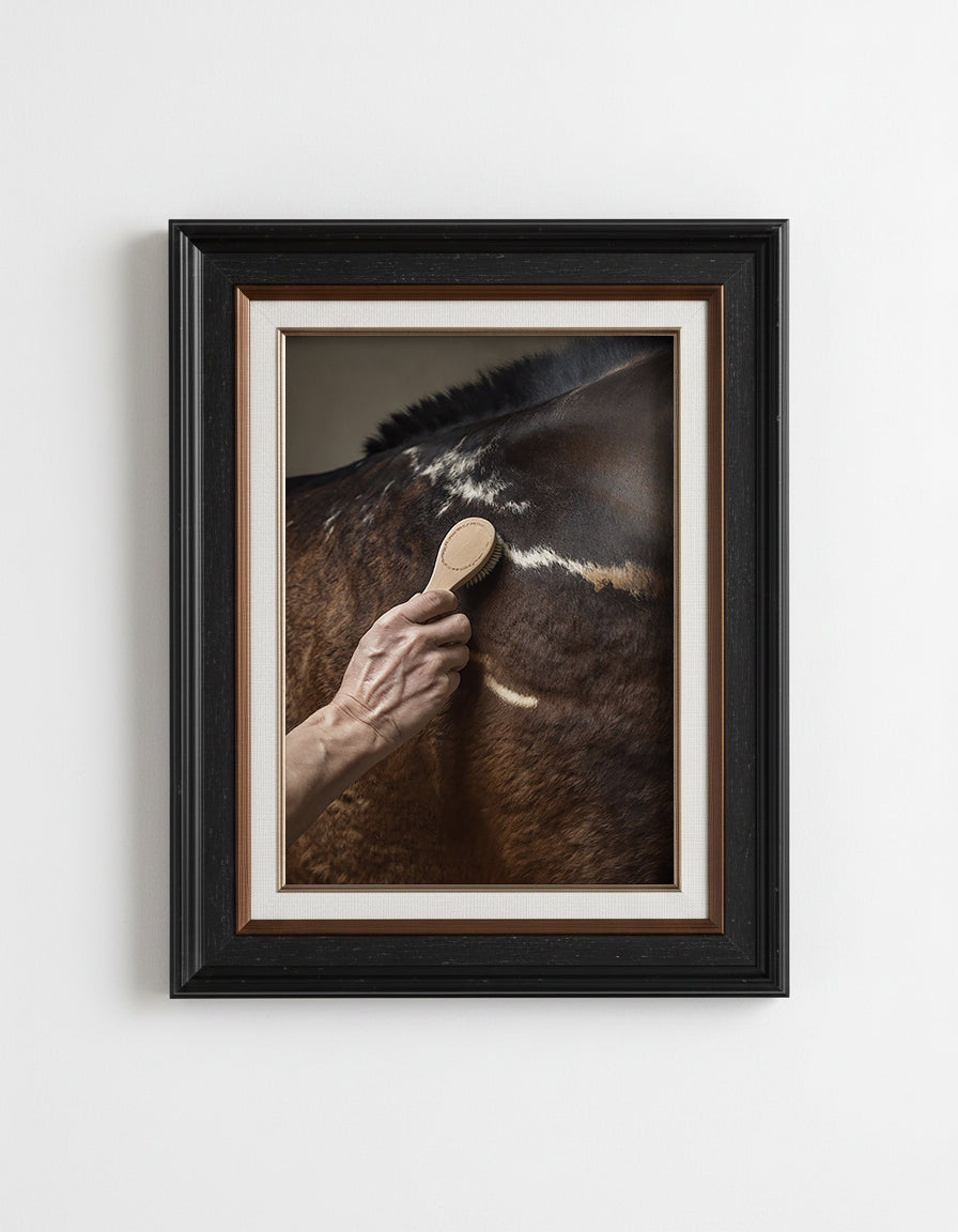 close up photograph of a horse’s shoulder being brushed by hand in soft studio lighting