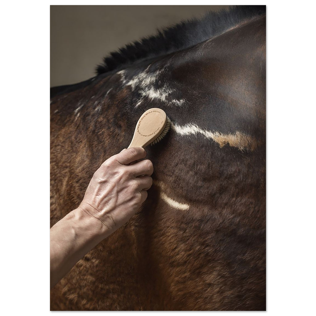 close up photograph of a horse’s shoulder being brushed by hand in soft studio lighting