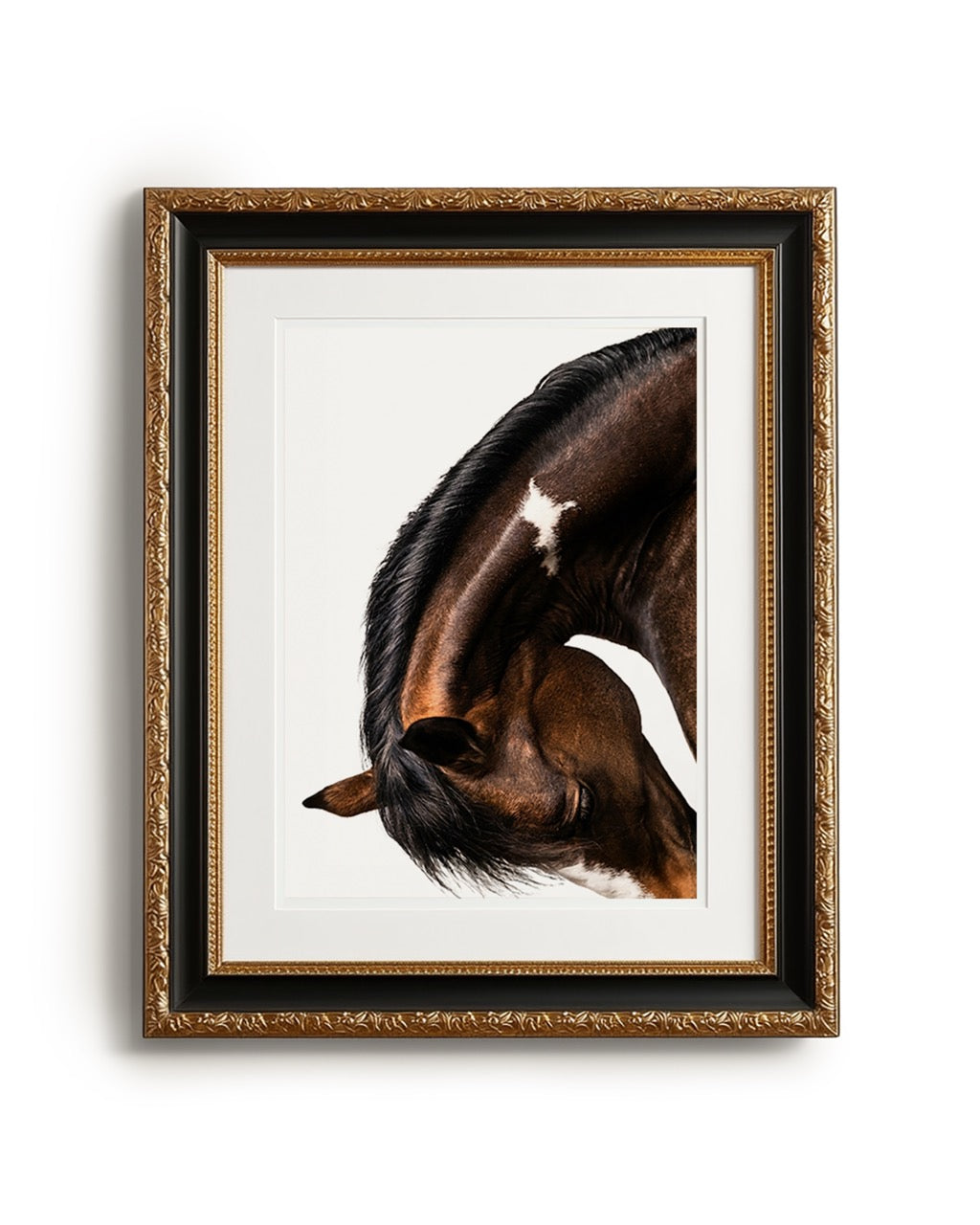 close up photograph of a horse lowering its head in a graceful bow, showing the curved neck and soft lighting
