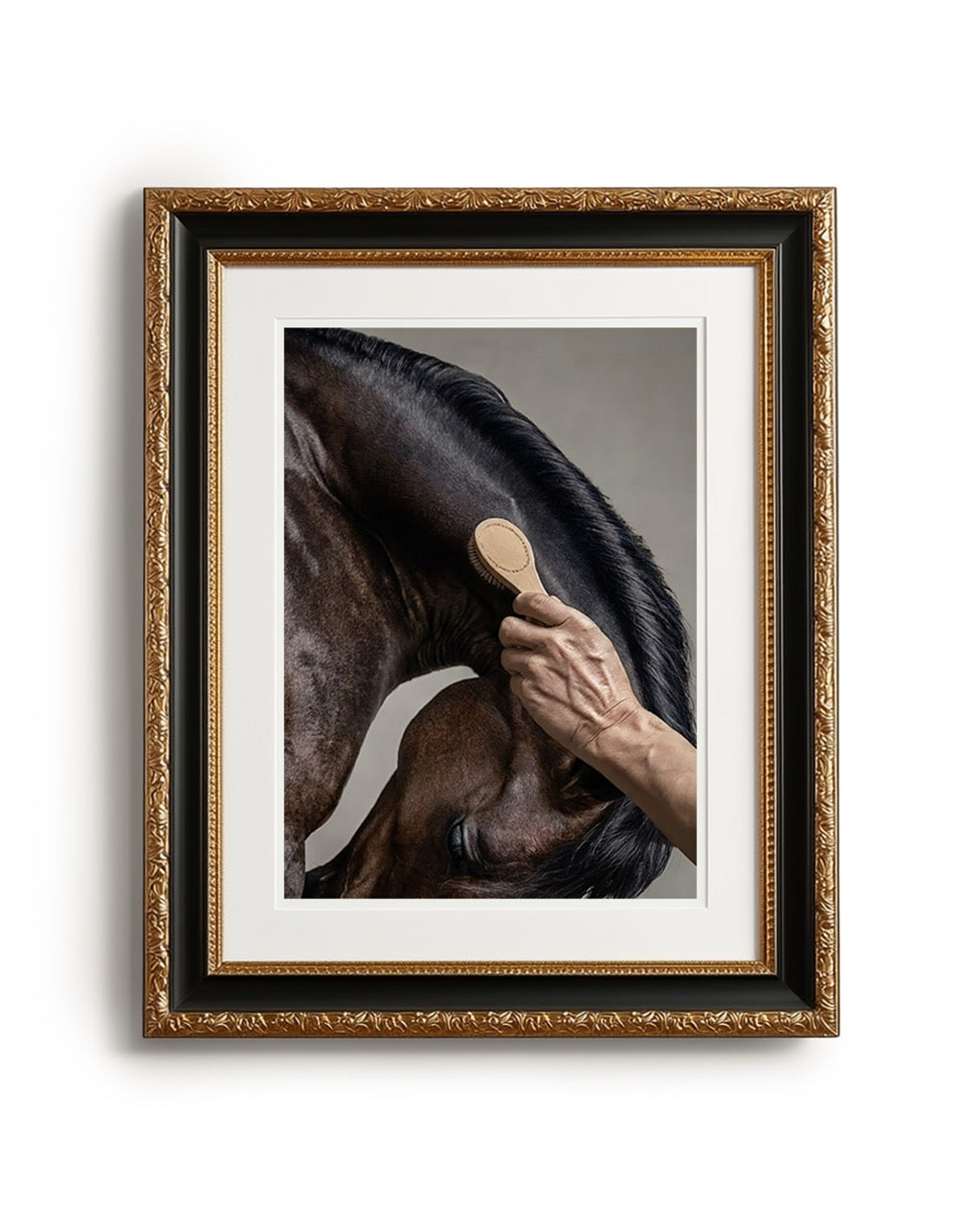close up photograph of a horse’s crest being brushed by hand in soft studio lighting