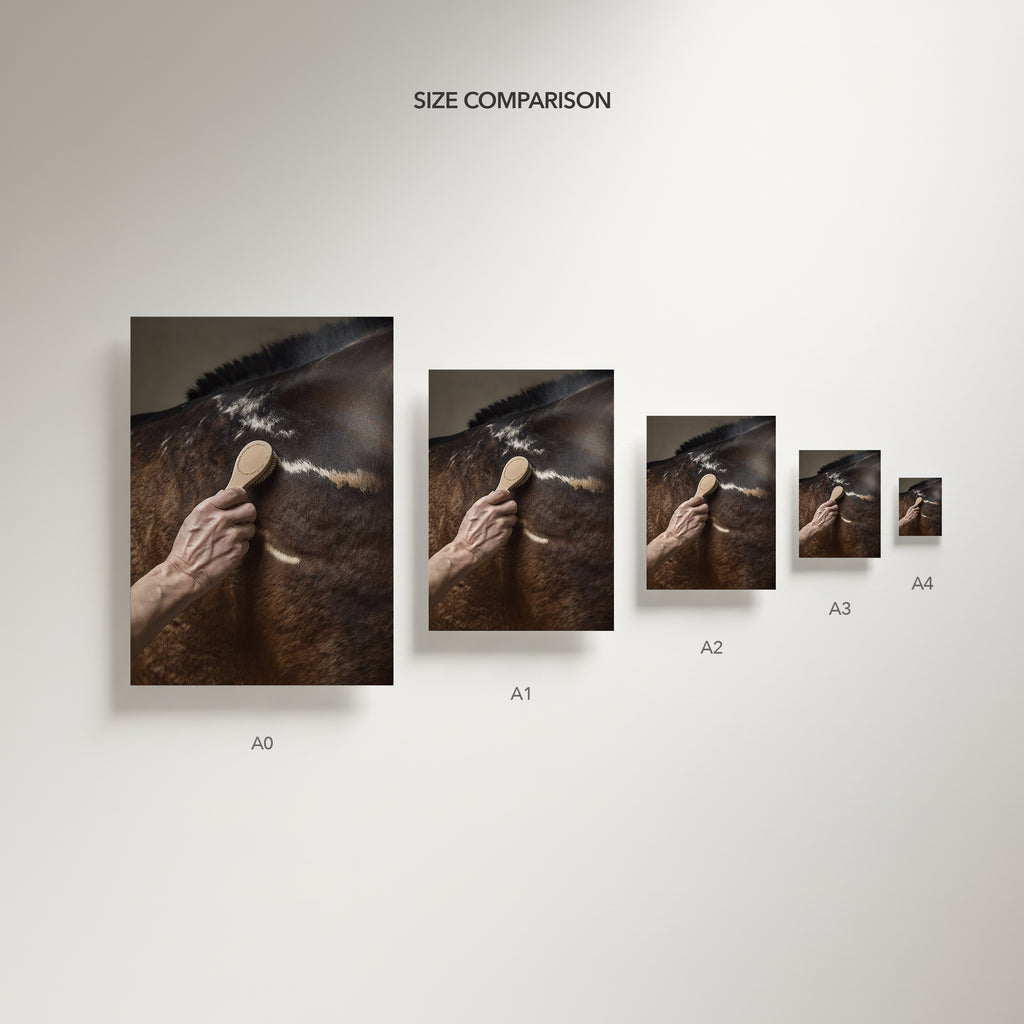 close up photograph of a horse’s shoulder being brushed by hand in soft studio lighting