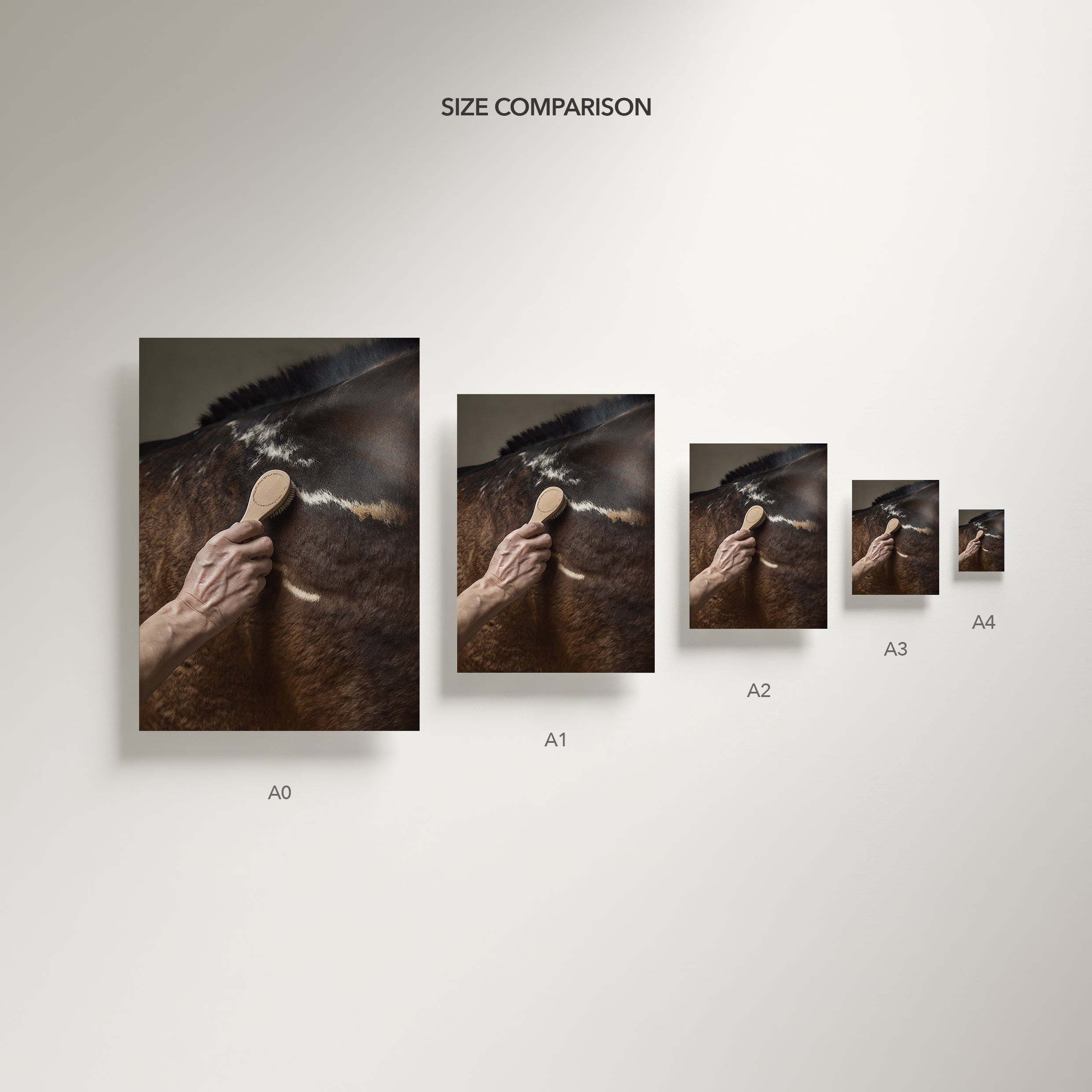 close up photograph of a horse’s shoulder being brushed by hand in soft studio lighting