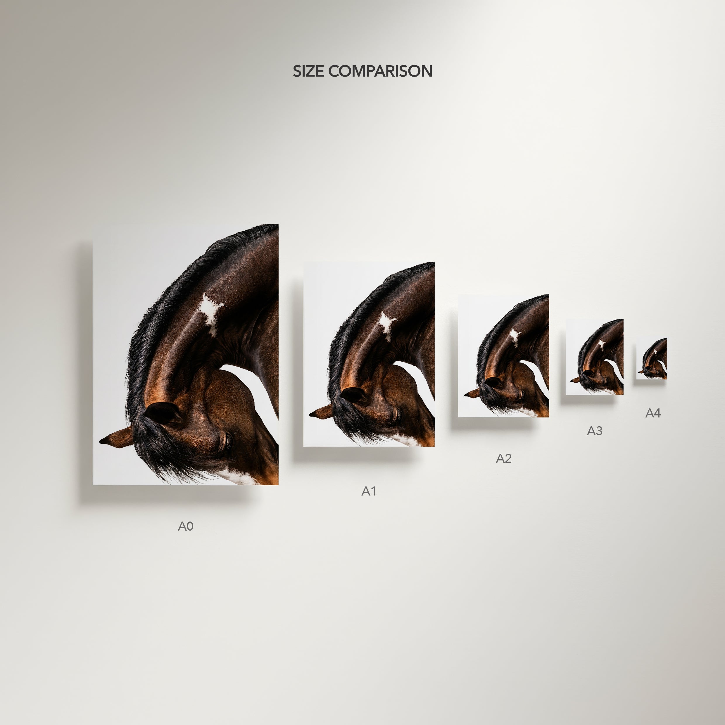 close up photograph of a horse lowering its head in a graceful bow, showing the curved neck and soft lighting
