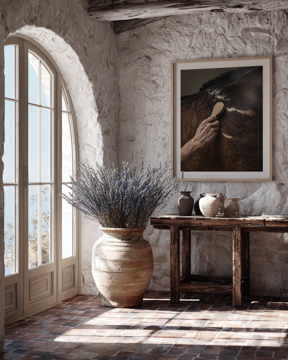 close up photograph of a horse’s shoulder being brushed by hand in soft studio lighting