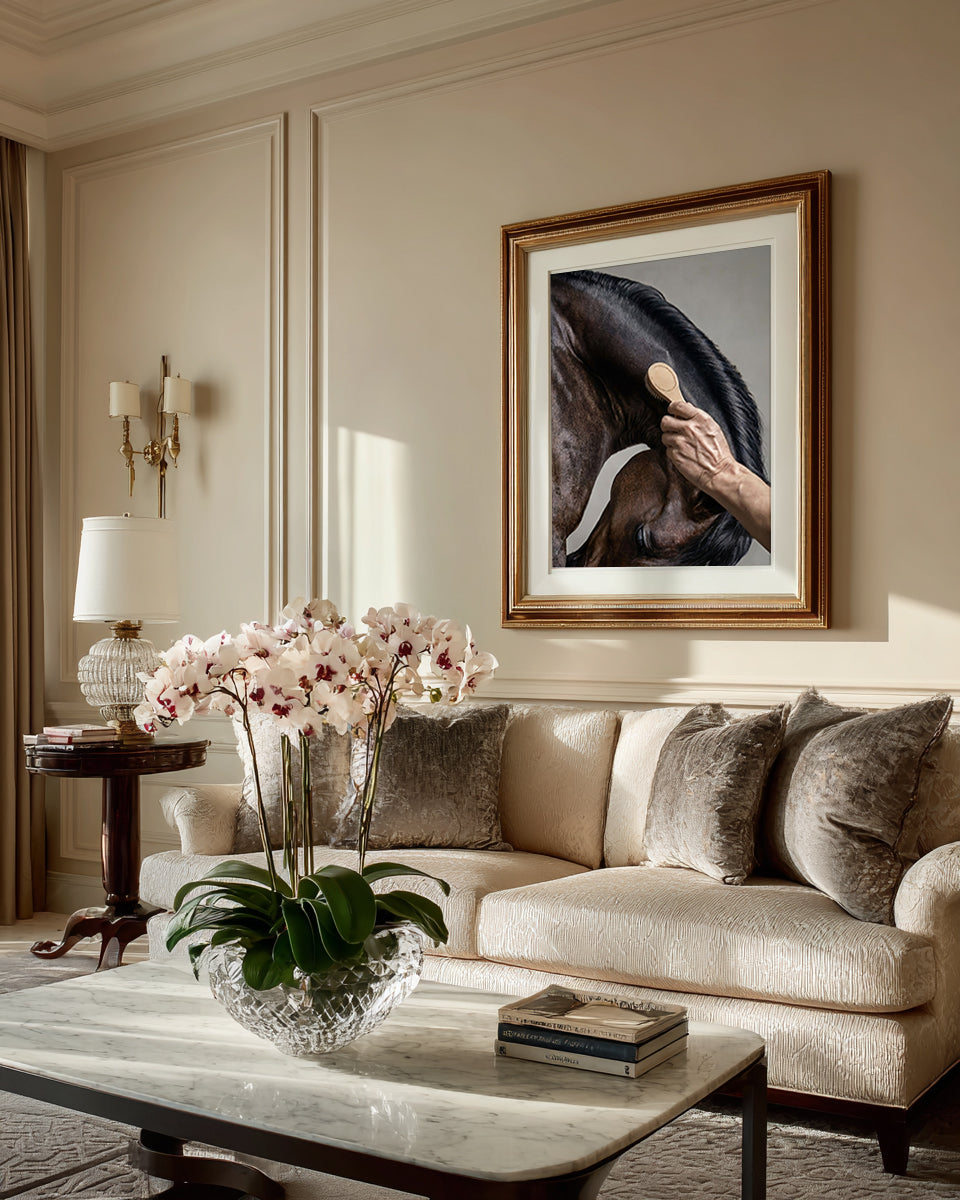 close up photograph of a horse’s crest being brushed by hand in soft studio lighting