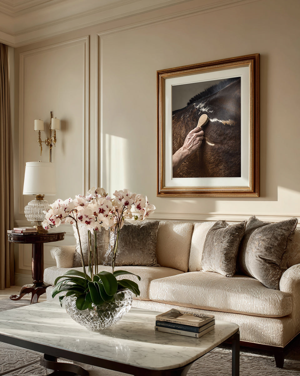 close up photograph of a horse’s shoulder being brushed by hand in soft studio lighting