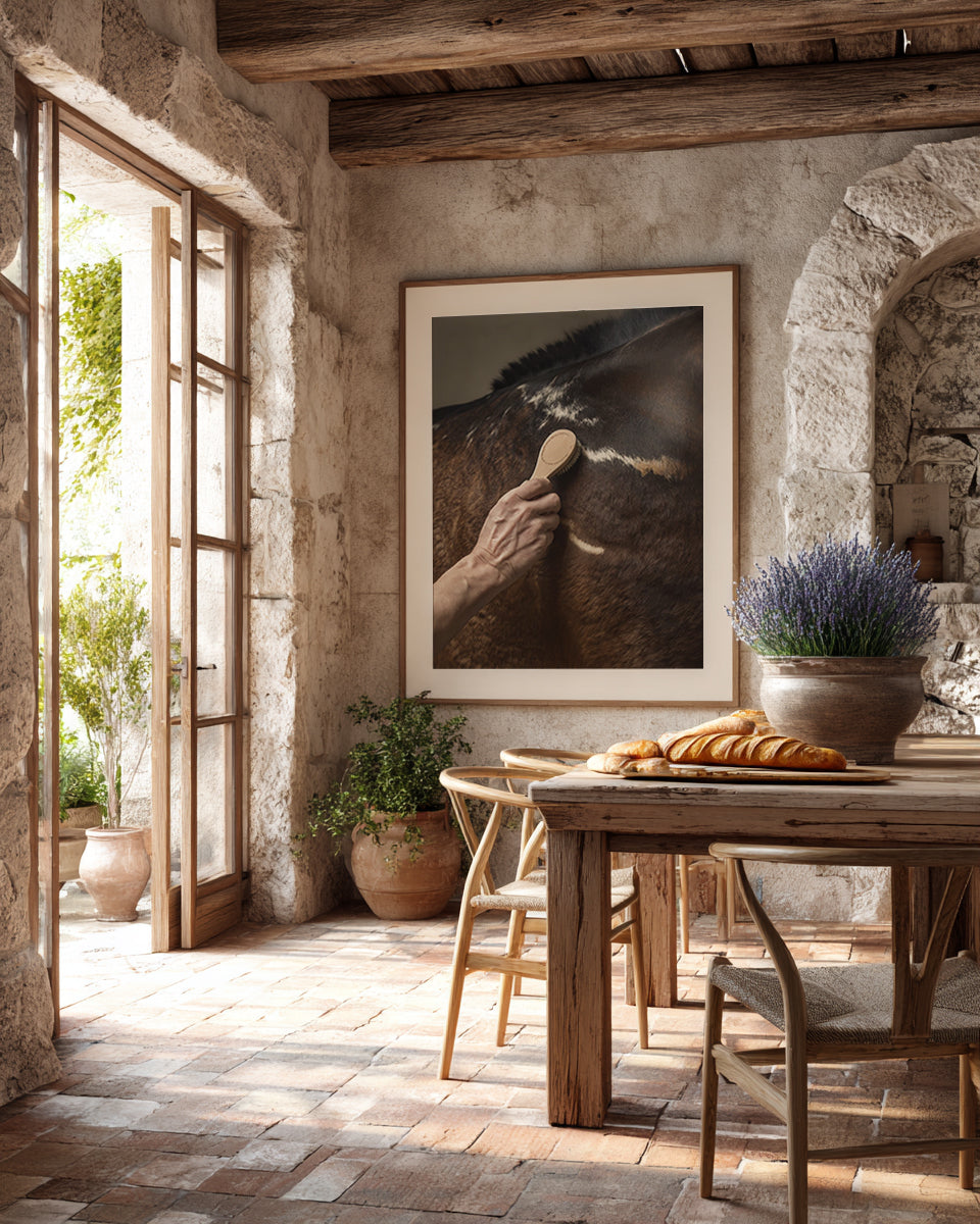 close up photograph of a horse’s shoulder being brushed by hand in soft studio lighting