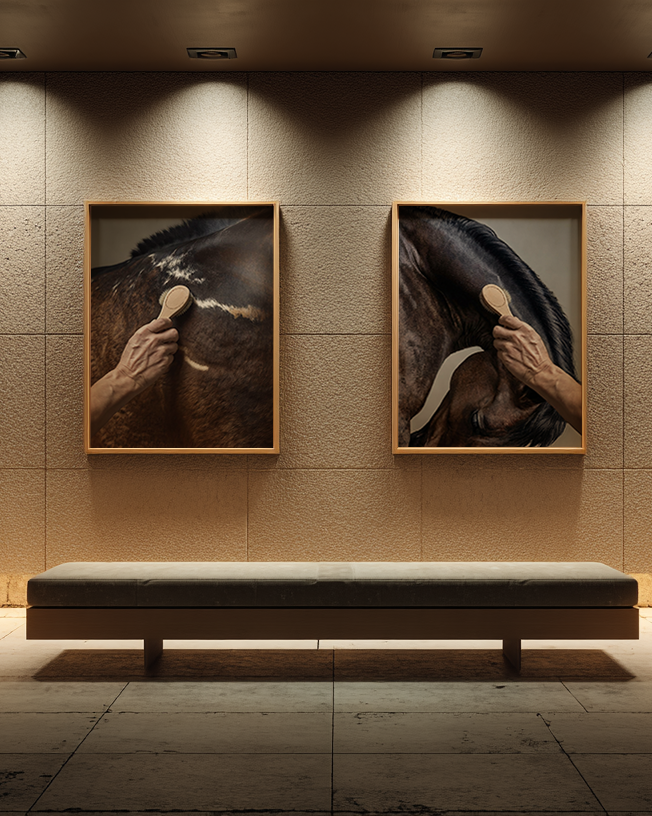 close up photograph of a horse’s crest being brushed by hand in soft studio lighting