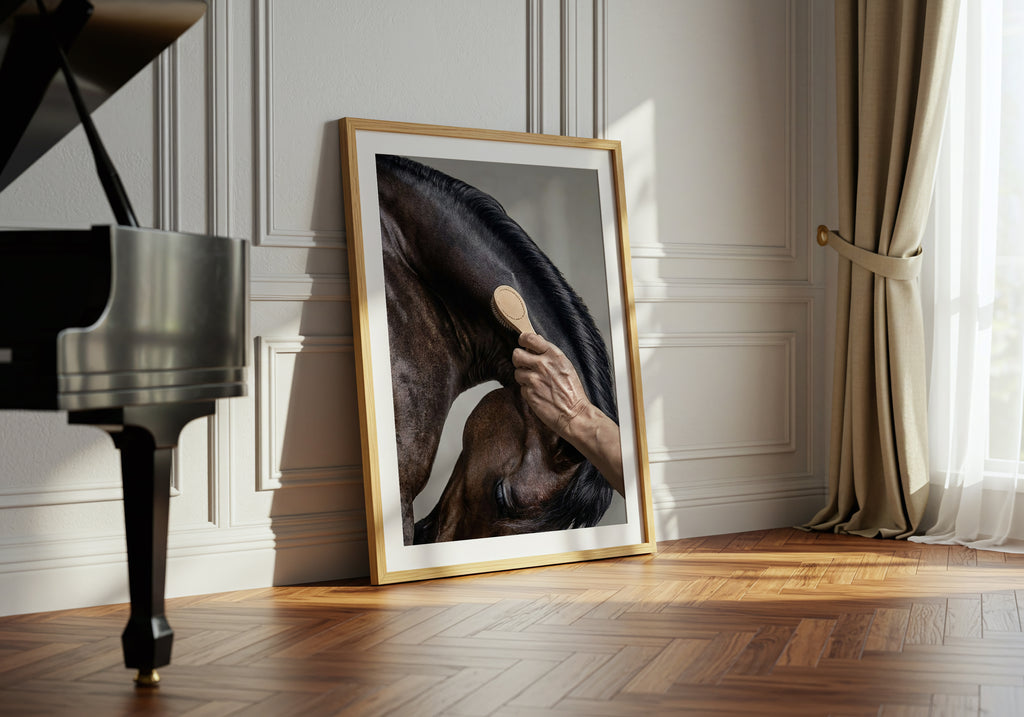 close up photograph of a horse’s crest being brushed by hand in soft studio lighting
